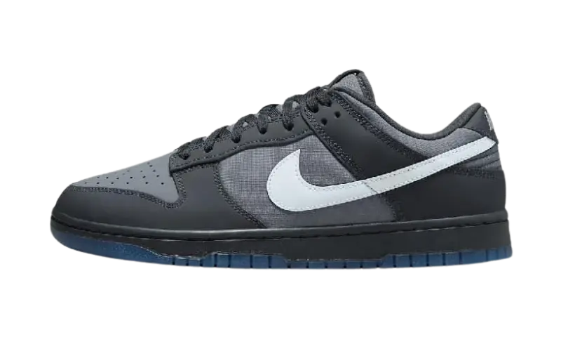 Nike Dunk Low Anthracite - MTHOR SHOP