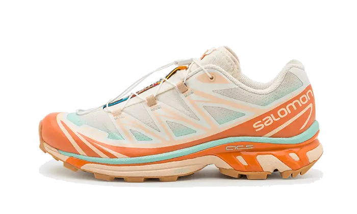 Salomon XT-6 Vanilla Ice Yucca Sun Baked L41629800 MTHOR SHOP