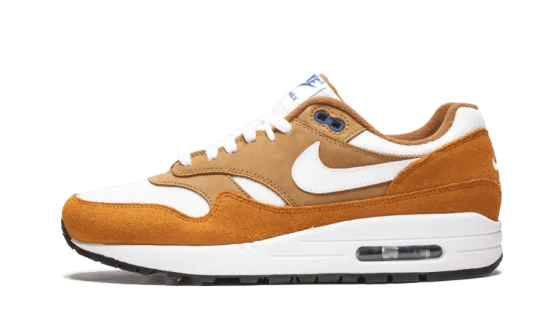 Nike Air Max 1 Curry (2018)