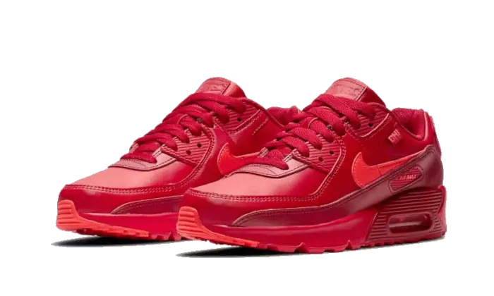 Nike Air Max 90 Chi-City Special - DH0146-600